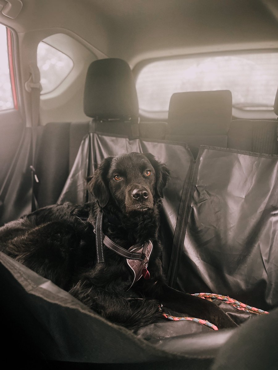 schygoers's tweet image. the cutest baby ever?!?!