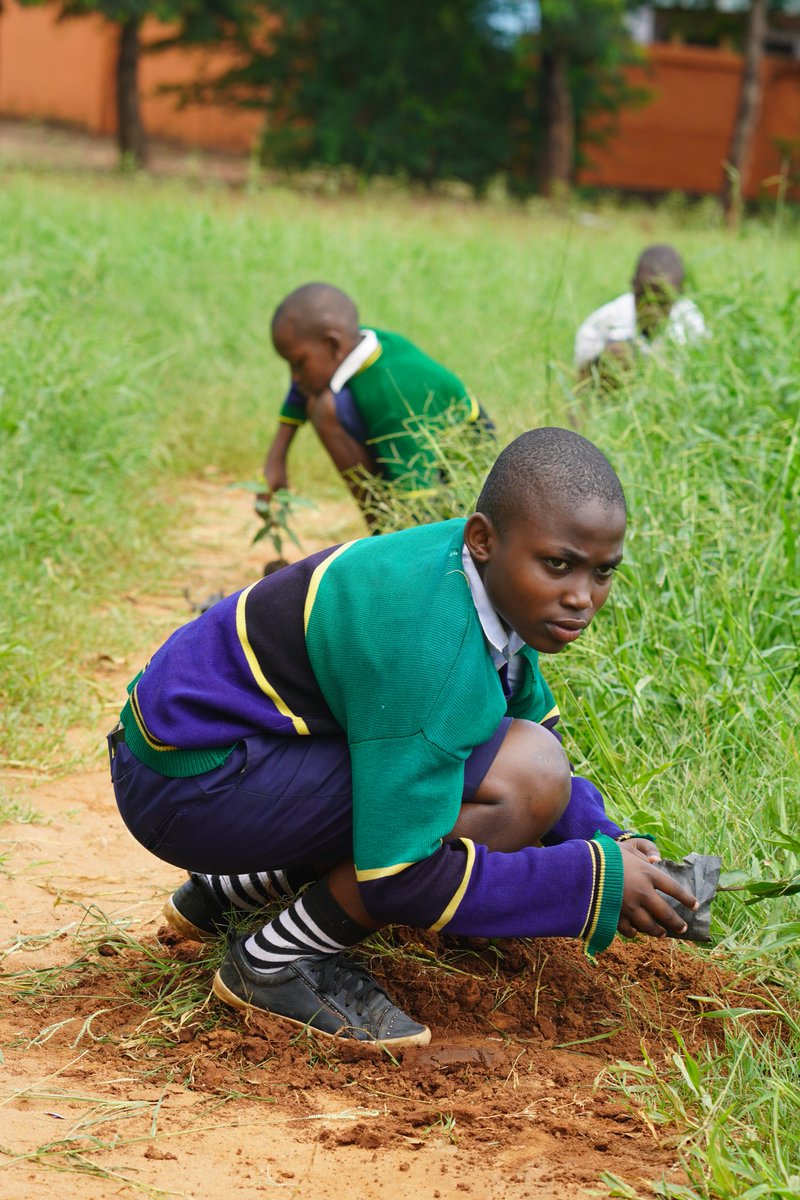 let's start today tomorrow is late 
#MYBIRTHDAYTREECAMPAIGN
<a href="/NemcTanzania/">NemcTanzania</a> <a href="/TFSAgency/">Tanzania Forest Services Agency</a> <a href="/jane__eden/">Jane Eden</a> @janegoodall tanzania <a href="/EwatOfficial/">ewat_official</a> <a href="/RichardMunang/">Dr. Richard Munang</a> <a href="/eliyajanikila_/">Eliya Nyonga JANIKILA</a> <a href="/Festo40807163/">Festo mwandenene</a> <a href="/startvhabari1/">Star Tv Tanzania</a> <a href="/SuasoUpdates/">suaso_updates</a> <a href="/Mgunya_MG/">Mgunya_MG</a> <a href="/fokke/">life</a> <a href="/EU_ENV/">EU Environment</a> <a href="/UNEP/">UN Environment Programme</a> <a href="/UNESCO/">UNESCO 🏛️ #Education #Sciences #Culture 🇺🇳</a> <a href="/JaneGoodall/">Jane Goodall</a>Inst <a href="/RichardMunang/">Dr. Richard Munang</a>