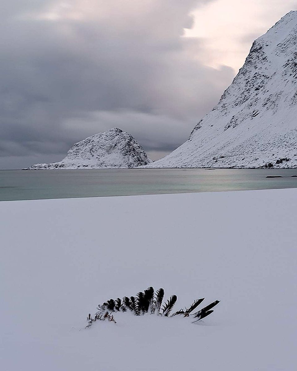 Chijuchili's tweet photo. Isla Lofoten. https://t.co/dx21Sp0k0p