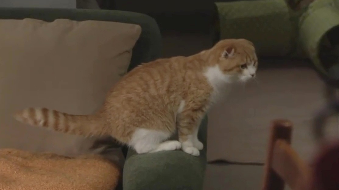 最高の離婚 光生 最新情報まとめ みんなの評価 レビューが見れる ナウティスモーション