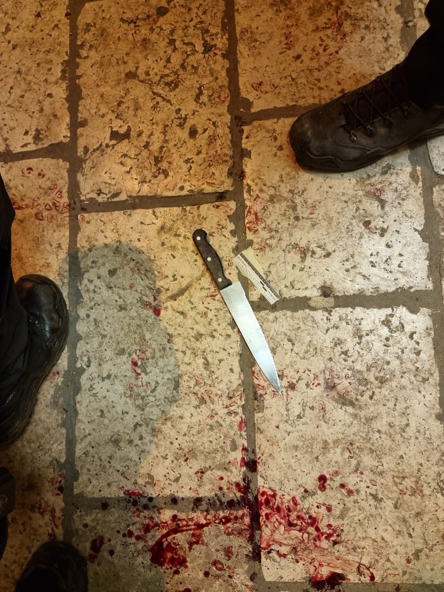 وقعت قبل قليل عملية طعن إرهابية في البلدة القديمة في أورشليم أصيب فيها شرطيين إسرائيليين.. تم تصفية…