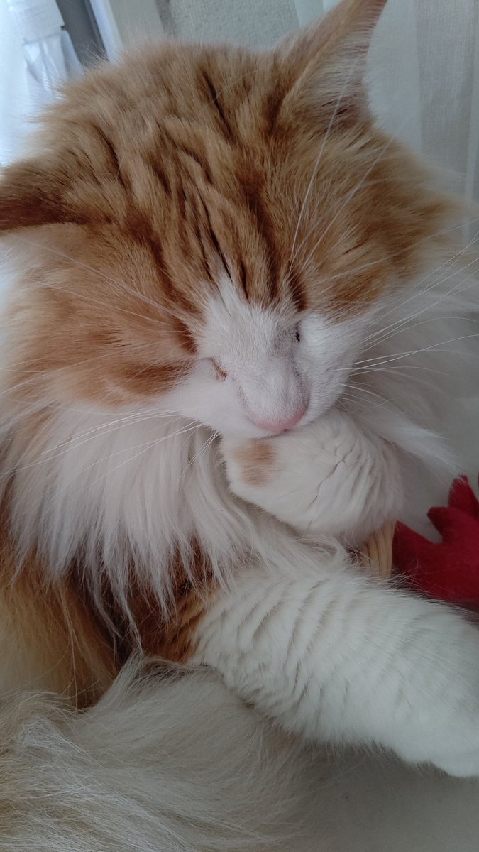 @KONGOUHIEI1 
おてておいちい

金剛型はみんな120になった
多分計画艦の新しいのきたら125にするかも… 