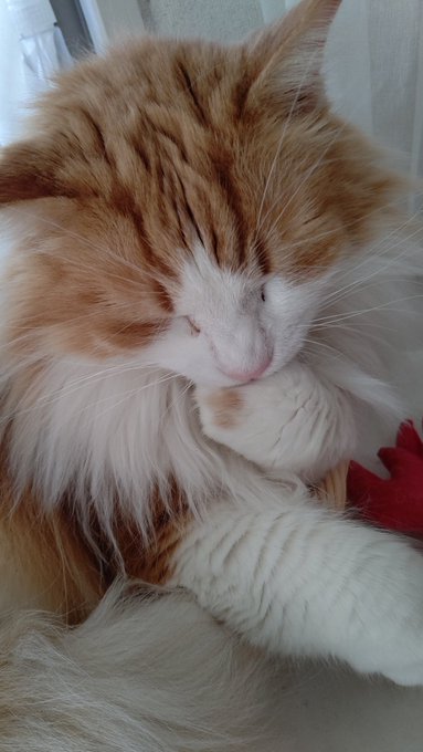 @KONGOUHIEI1 
おてておいちい

金剛型はみんな120になった
多分計画艦の新しいのきたら125にするかも… 