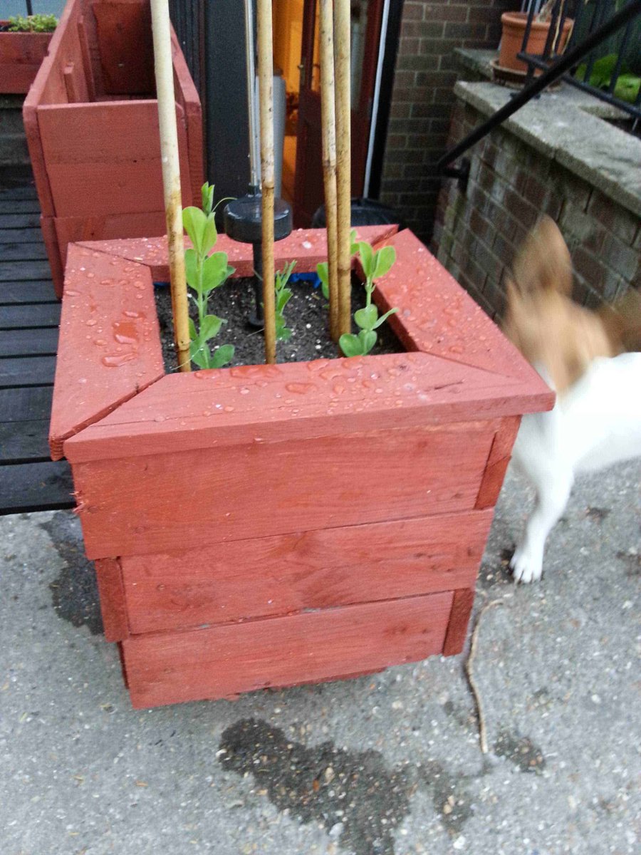iRecyclart's tweet image. Pallet Planter : 1001pallets.com/pallet-planter… - #Garden #PalletPlanters #RecyclingWoodPallets