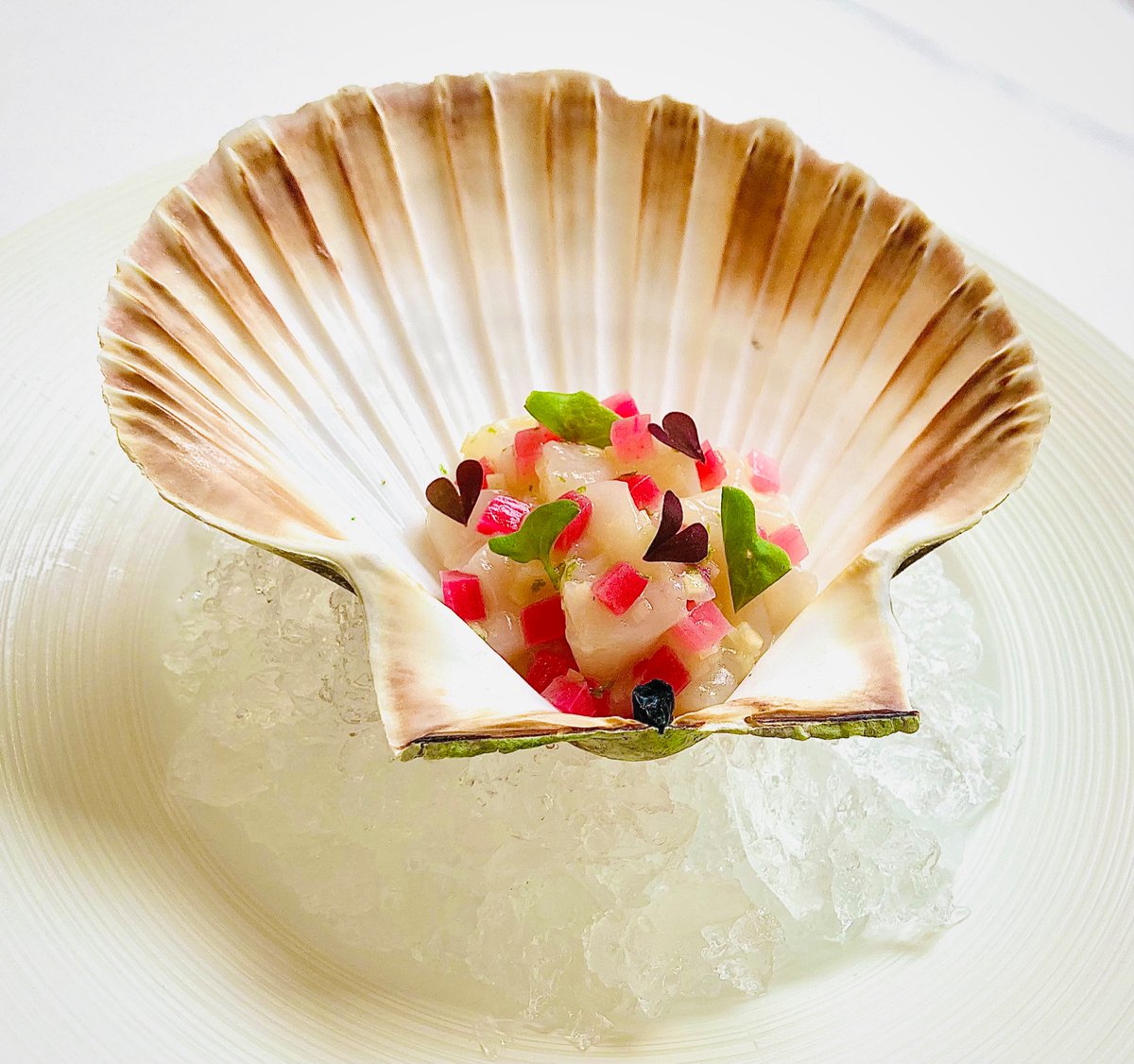 Hand dived Orkney scallop tartare, pickled ginger, forced Yorkshire rhubarb and sorrel.