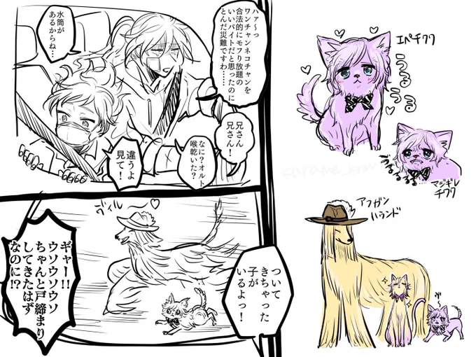 ワンニャンぽむ 