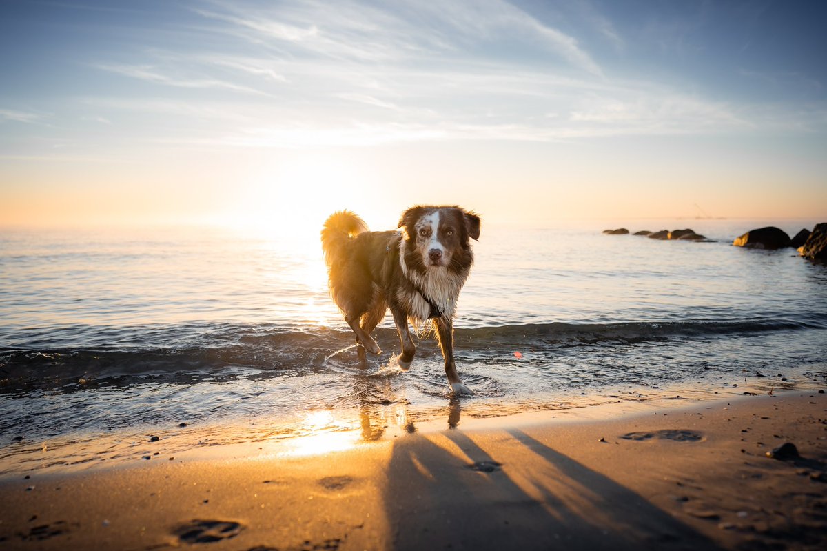 BAILEY + KAITO tweet media