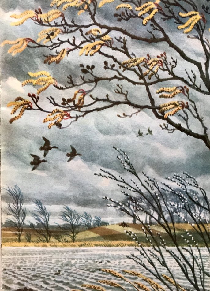 RT FisherSciEU 'RT @LBFlyawayhome: “In the first week of March the wind blows hard, swaying the reeds and bushes and bending the big trees beyond the lake to its cold breath.”

The first page of ‘What to Look for in Spring’
#CFTunnicliffe #ELGrantWatson '