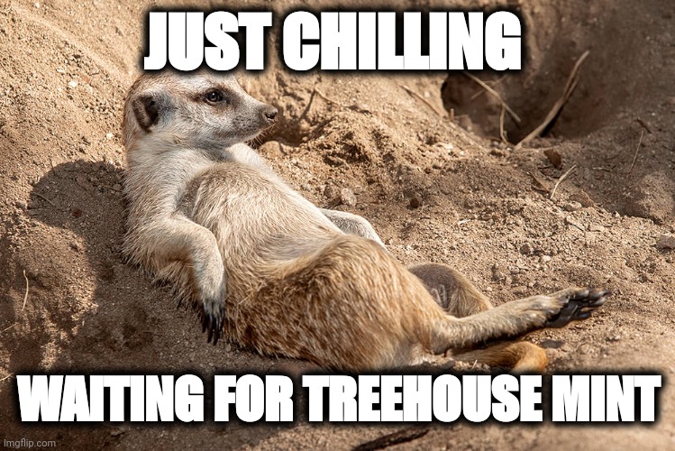 mydefiwallet's tweet photo. @endorfinaholic @mad_sequence @endorfinaholic @MMFcrypto @MadMeerkatNFT
#memefortreehouse #Imgoingmad https://t.co/4GRmQPxOSL