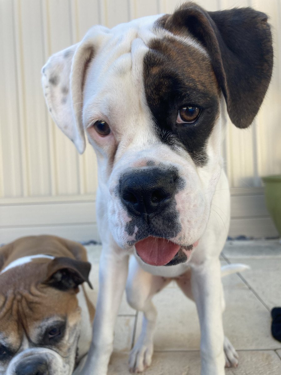 mully1968's tweet image. A#