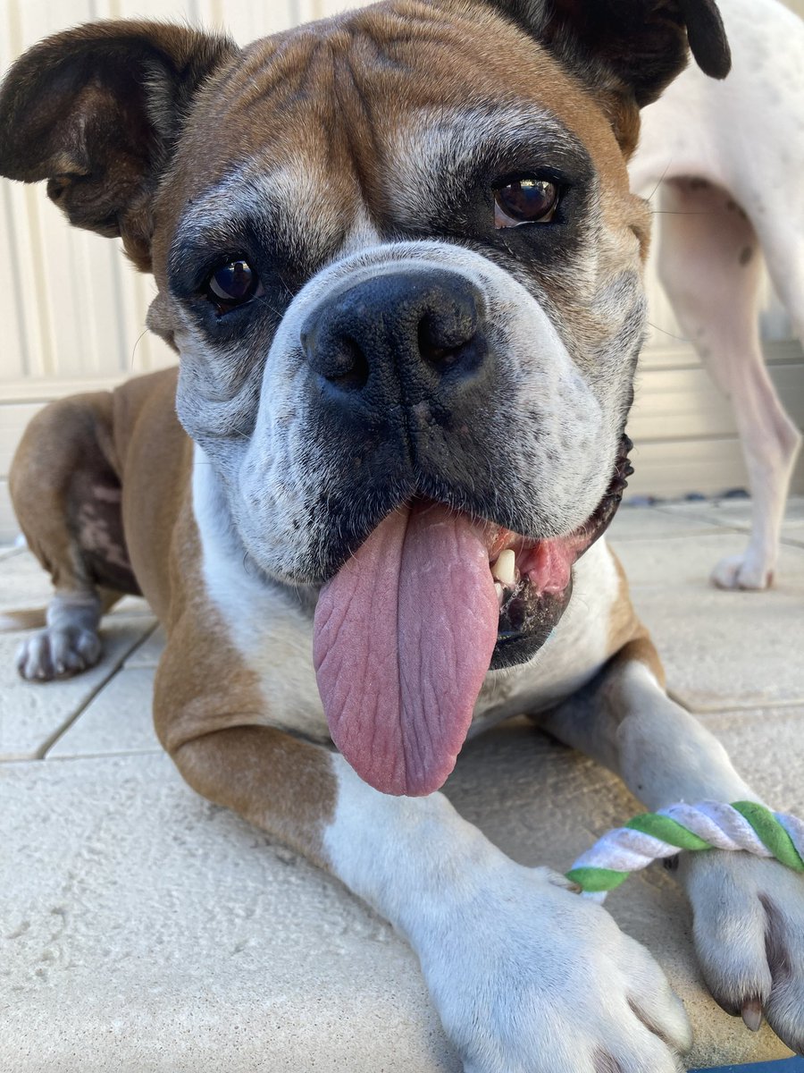 mully1968's tweet image. 