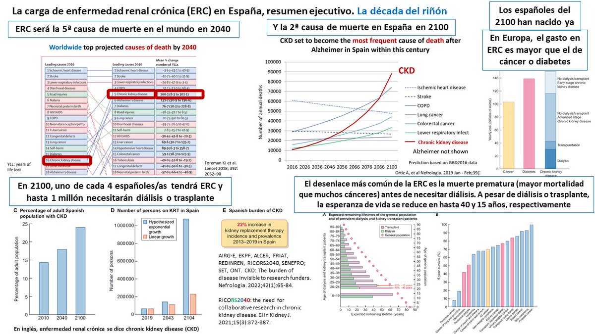la carga de enfermedad del riñón en España
#DíaMundialdelRiñón