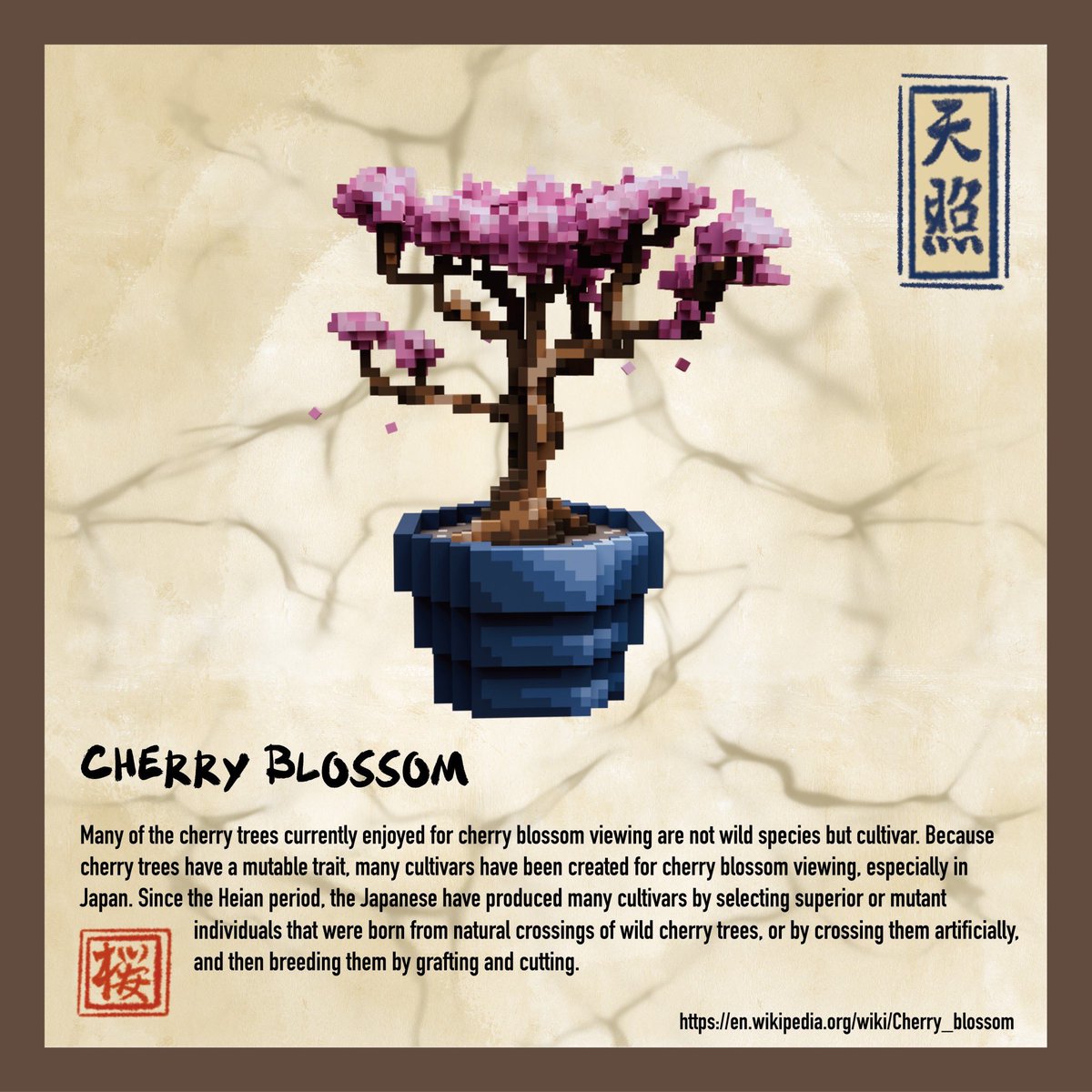 The Cryptobonsai tweet media