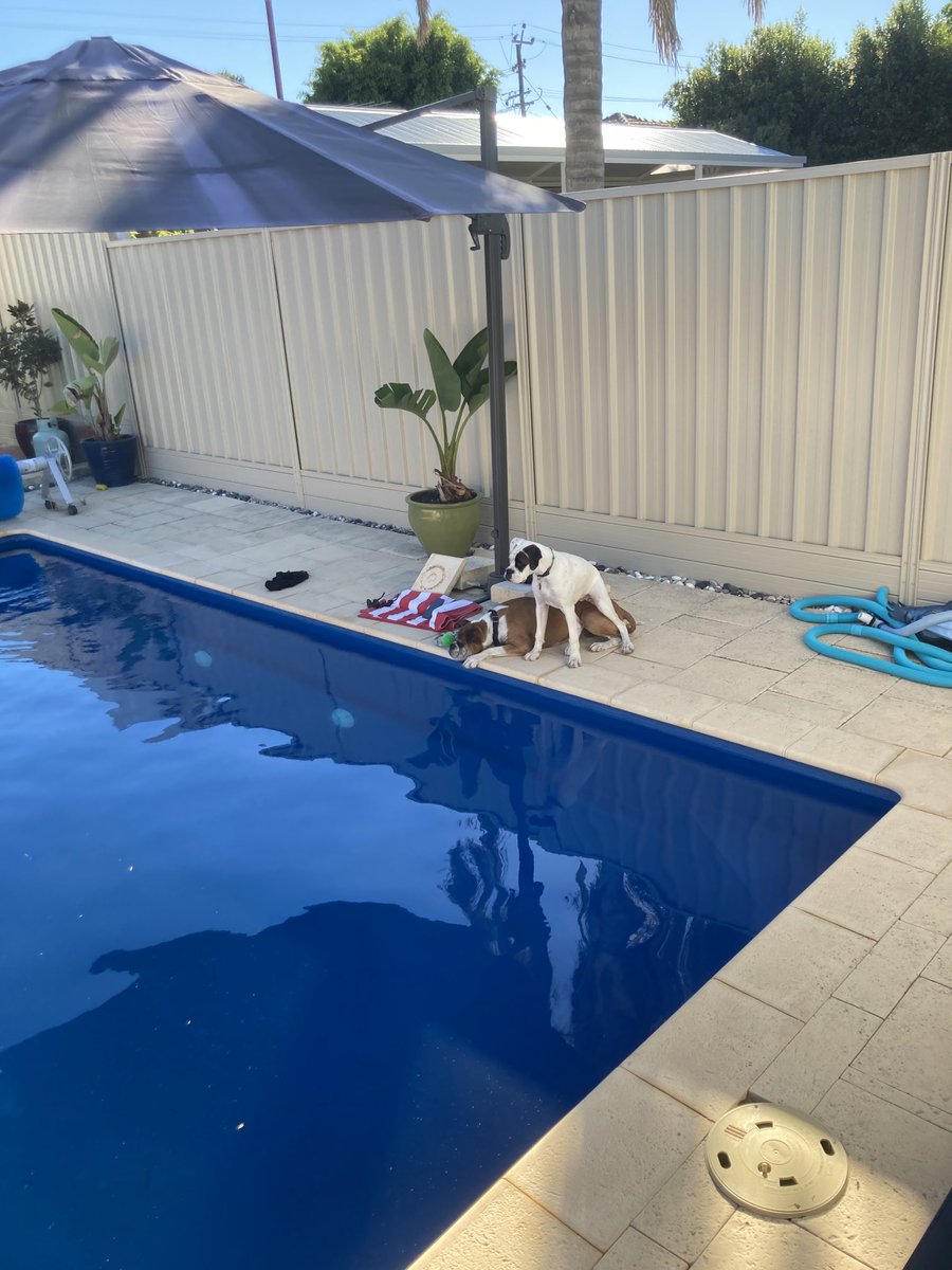 mully1968's tweet image. These to