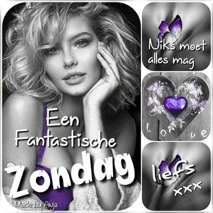 Goedemorgen lieve volgers en niet volgers een fijne zondag gewenst. Lach , geniet en maak er vandaag weer een mooie bijzondere dag van. Het zonnetje straalt dus geniet ervan maar wees ook lief voor elkaar 💋💋💋💋☕️☕️☕️