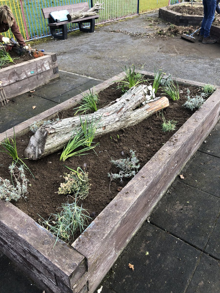 FOCB1's tweet photo. A successful first work day of 2022 with the community garden cleared, tidied and dozens of new 🪴 added. Thanks to all of our loyal volunteers and also to local business Burncross Nurseries who donated a huge amount of what was planted today #keepsheffieldgreen https://t.co/F5oauJm8SI