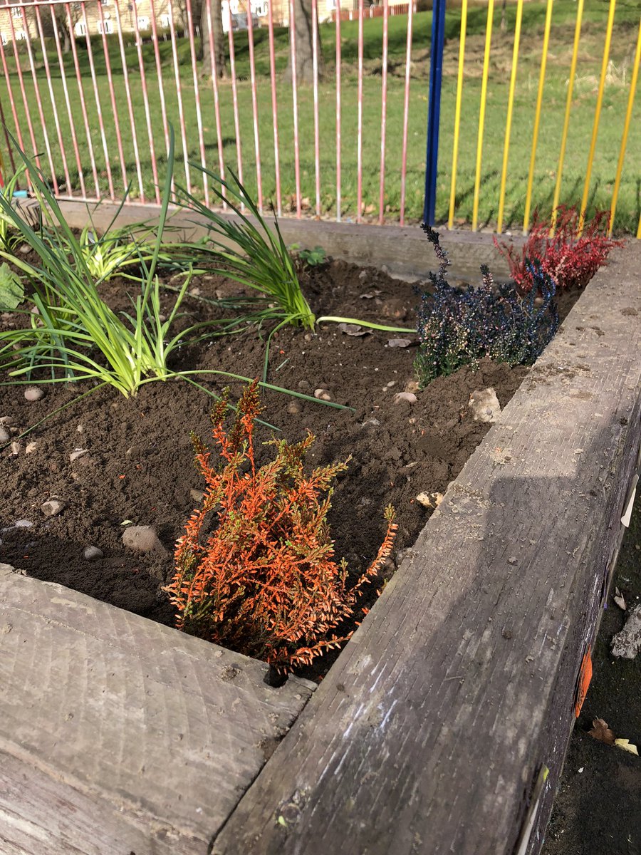 FOCB1's tweet photo. A successful first work day of 2022 with the community garden cleared, tidied and dozens of new 🪴 added. Thanks to all of our loyal volunteers and also to local business Burncross Nurseries who donated a huge amount of what was planted today #keepsheffieldgreen https://t.co/F5oauJm8SI