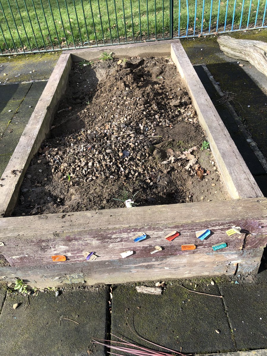 FOCB1's tweet photo. A successful first work day of 2022 with the community garden cleared, tidied and dozens of new 🪴 added. Thanks to all of our loyal volunteers and also to local business Burncross Nurseries who donated a huge amount of what was planted today #keepsheffieldgreen https://t.co/F5oauJm8SI