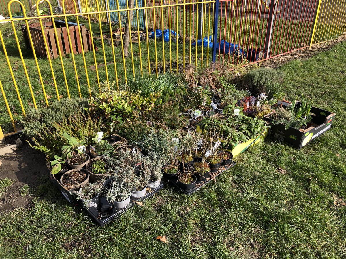 FOCB1's tweet photo. A successful first work day of 2022 with the community garden cleared, tidied and dozens of new 🪴 added. Thanks to all of our loyal volunteers and also to local business Burncross Nurseries who donated a huge amount of what was planted today #keepsheffieldgreen https://t.co/F5oauJm8SI