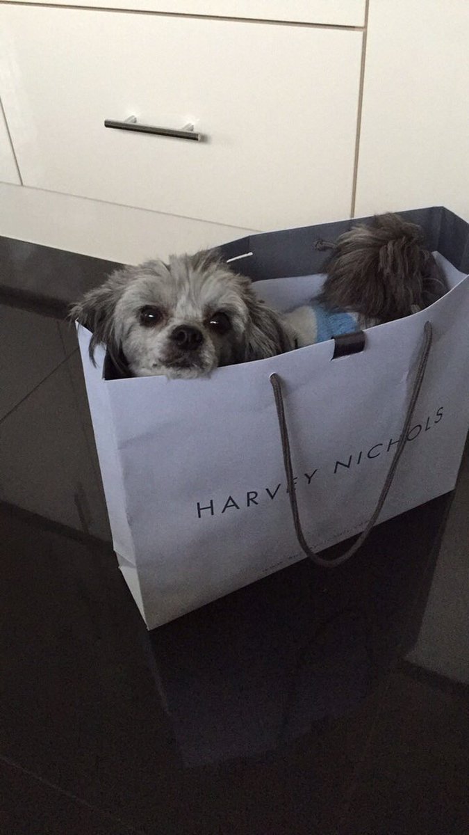 packer_pauline's tweet image. #shoppingonline #notwhatiordered #wrongsize #strangenameforadog @packer_pauline #presenter