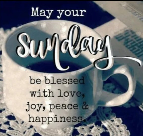 TrnsUnion's tweet photo. #helloworld2022 #sundayvibes #لبنان 
#TranslatorsUnion https://t.co/ga6jCWLiD3