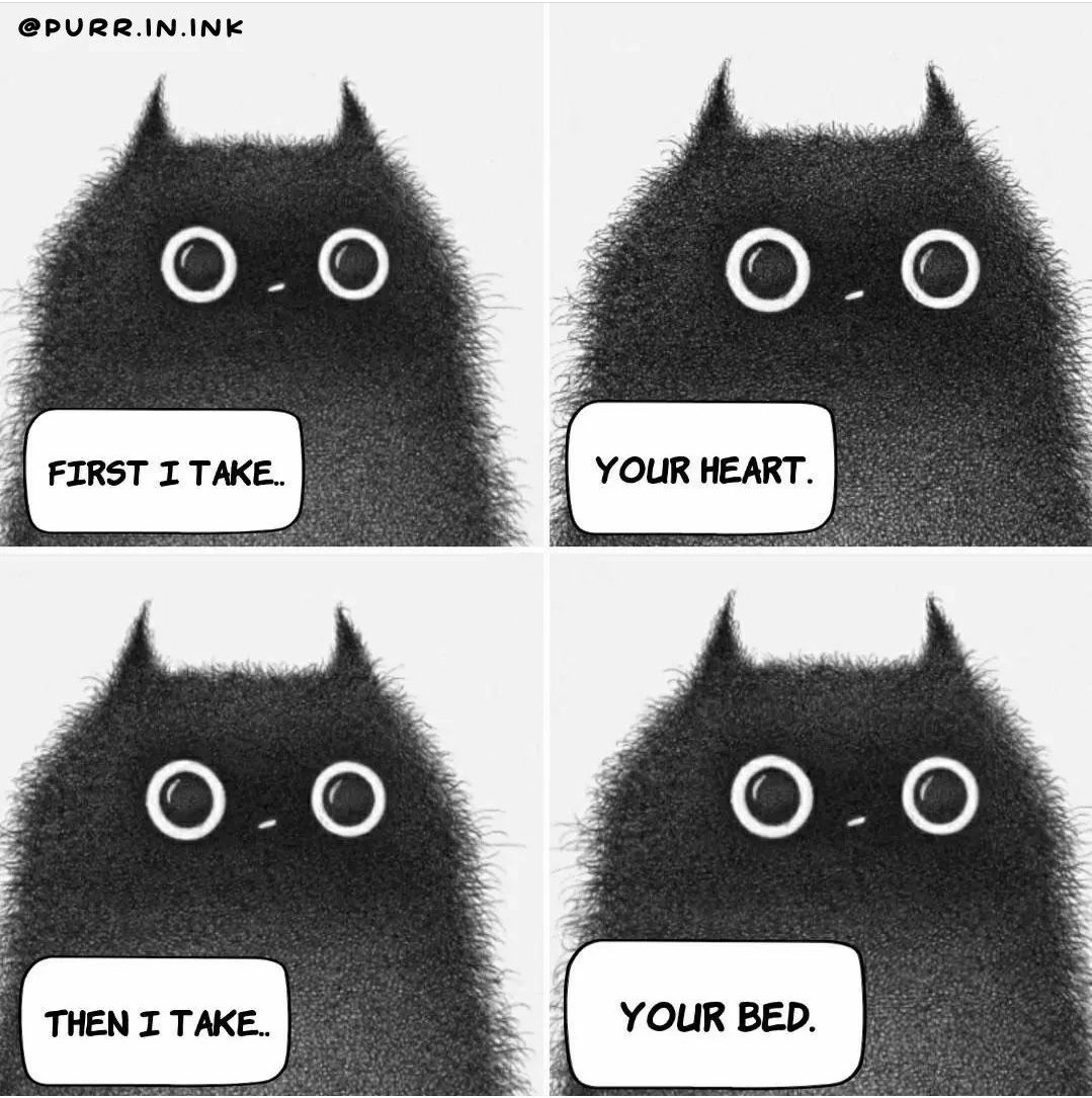 ChChavis's tweet photo. Accurate!
#CatsOfTwitter https://t.co/l2qEQpPqZv