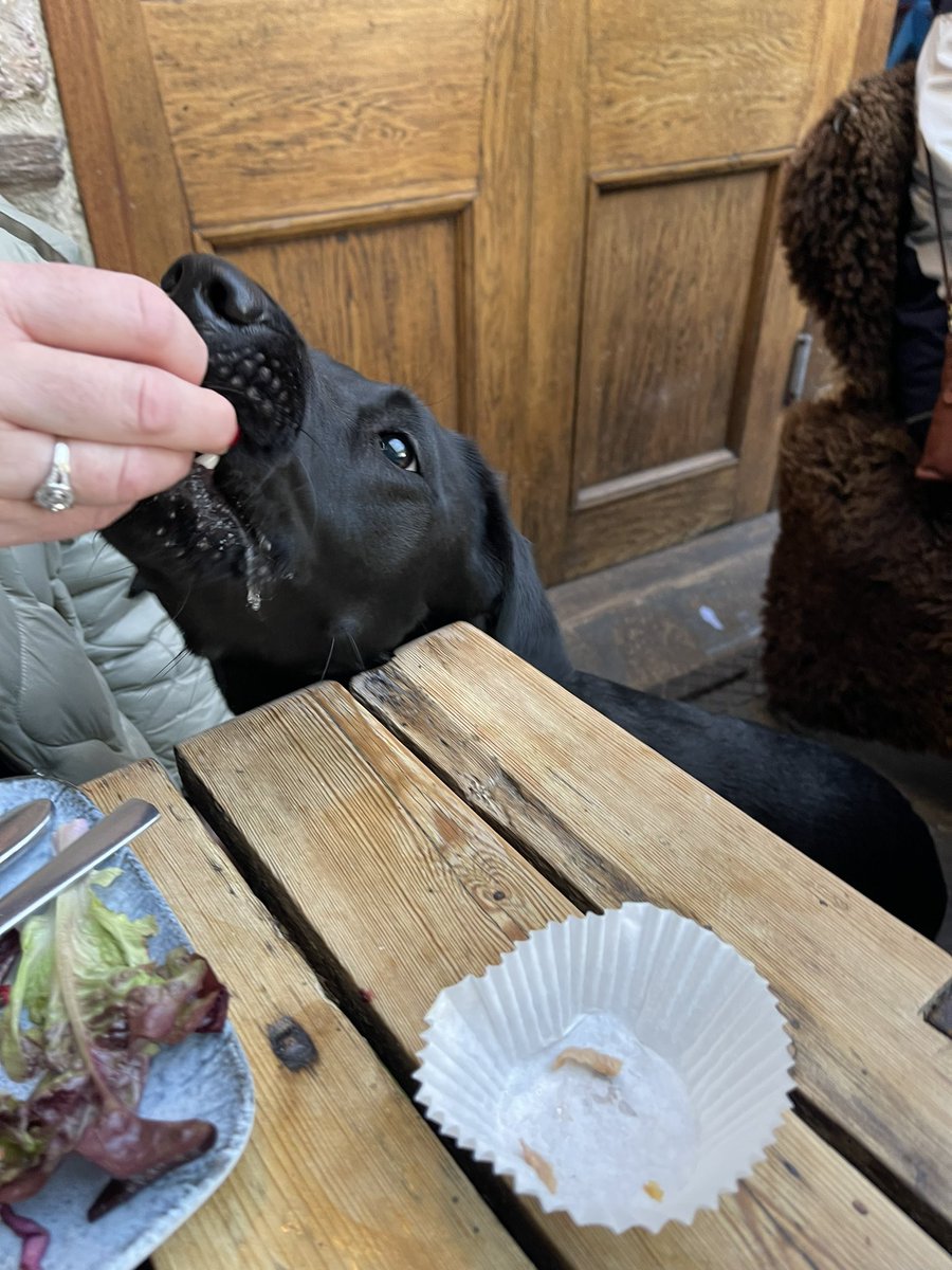 Shaun Carney CFO tweet media