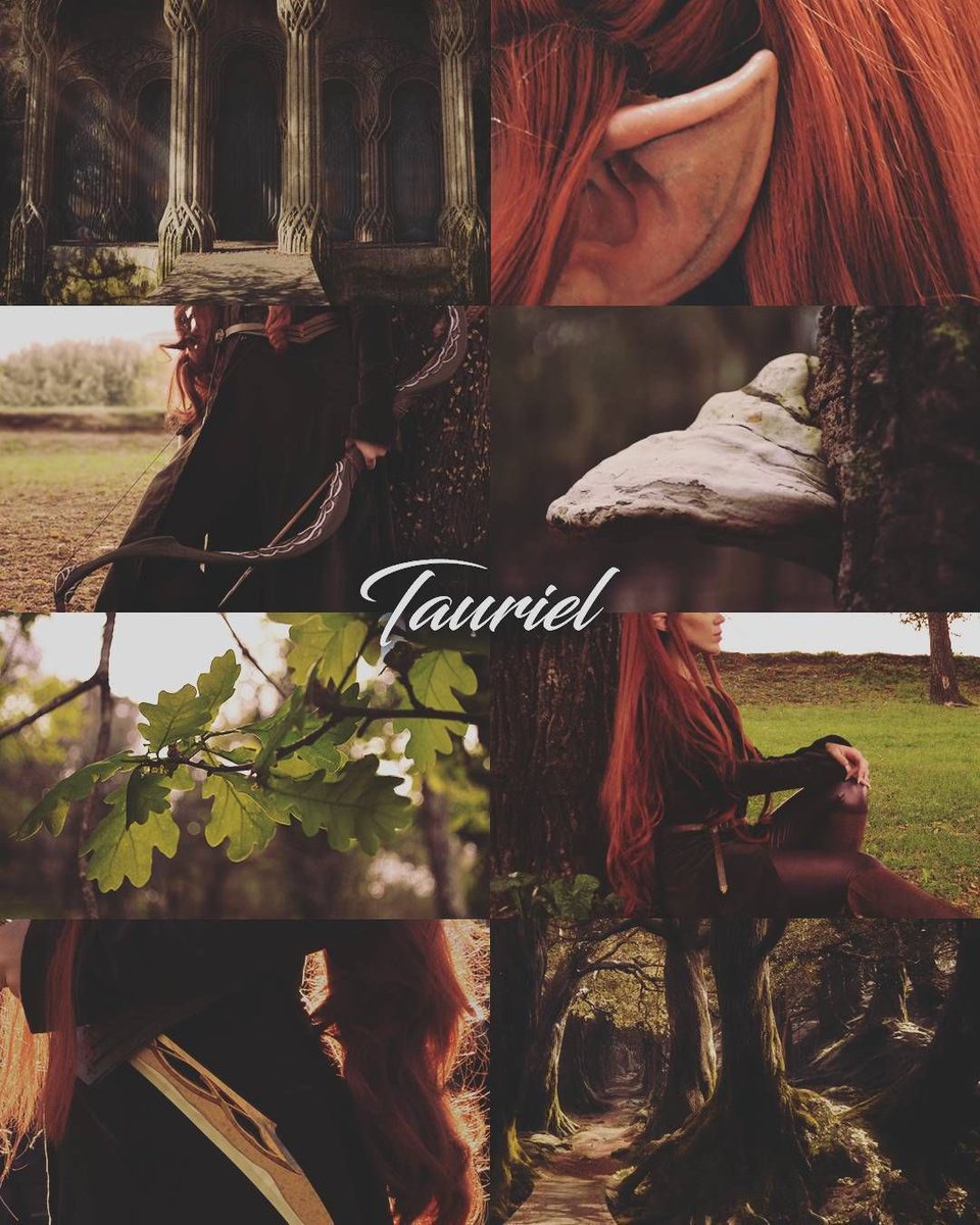 𝐓𝐚𝐮𝐫𝐢𝐞𝐥 𝐎𝐟 𝐌𝐢𝐫𝐤𝐰𝐨𝐨𝐝

»»————-　★　————-««

𝗂𝗇𝖽𝖾𝗉𝖾𝗇𝖽𝖾𝗇𝗍 𝗉𝗈𝗋𝗍𝗋𝖺𝗒𝖺𝗅
𝖼𝖺𝗉𝗍𝖺𝗂𝗇 𝗈𝖿 𝗍𝗁𝖾 𝗀𝗎𝖺𝗋𝖽
𝖺𝗋𝖼𝗁𝖾𝗋
𝗌𝗁𝗂𝗉𝗌 𝗐/𝖼𝗁𝖾𝗆
𝗆𝗂𝗋𝗋𝗈𝗋𝖾𝖽 𝗅𝗂𝗍.
𝗇𝗈 𝗆𝗂𝗇𝗈𝗋𝗌 — 𝖣𝖭𝖨

»»————-　★　————-««

 𝗆𝗎𝗌𝖾 𝗈𝖿: #Ᏸʟøøᴅ