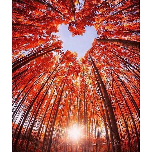 🌾🩵Թɑղժօɾɑ 🩵🌾 tweet media
