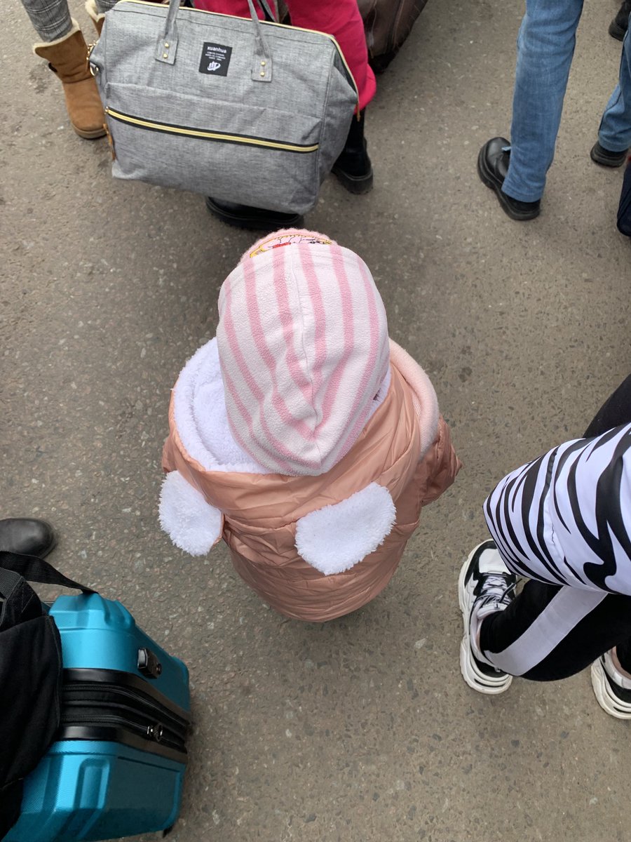 laurepollez's tweet image. Ma petite voisine de devant, dans la file pour passer en Pologne. 

La file fait 14km… 
#ukraine