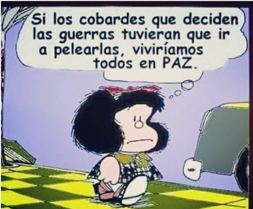 Francisca Florenzano tweet media