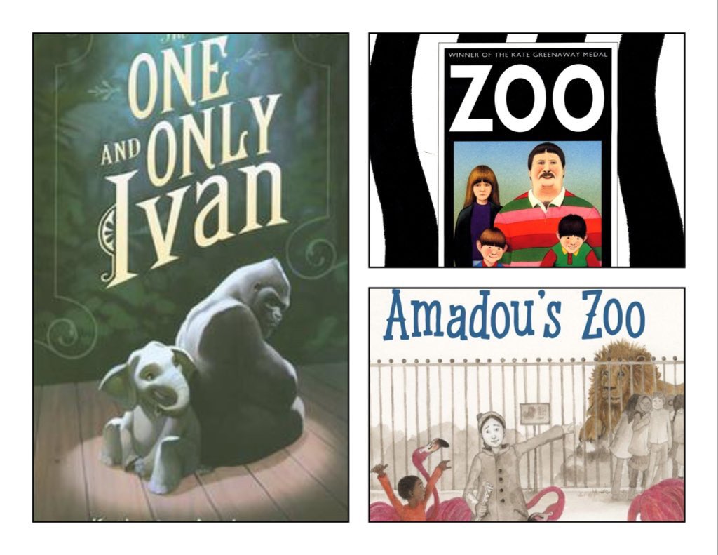 In school we have been increasingly using picturebooks alongside our core texts. This helps us build pupils knowledge and understanding so that they understand the core text more deeply. The increased level of discussion has been great.