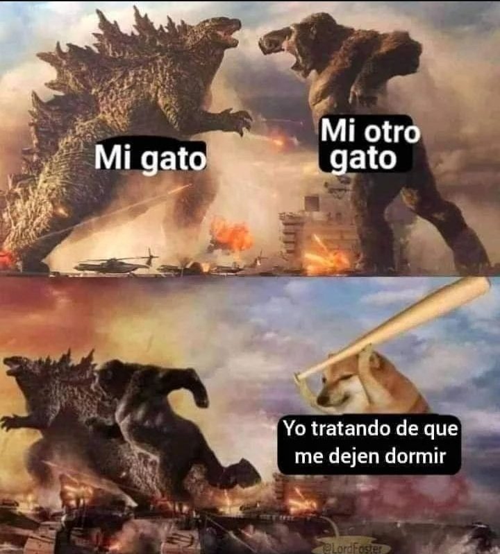 MontgomeryA__'s tweet photo. Yo los sábados y domingos😱🥰 https://t.co/e7ov405ZrQ