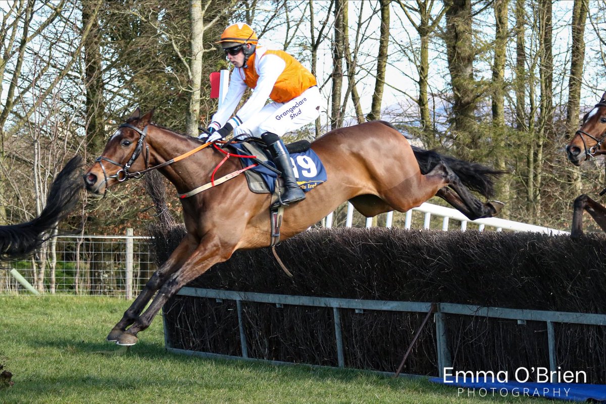 PEAKY BOY (Kayf Tara) and <a href="/simoncavanagh10/">simon cavanagh</a> win the <a href="/GoffsUK/">Goffs UK</a> Aintree Sale 4yo Maiden for trainer Denis Murphy <a href="/BallyboyStables/">Ballyboy Stables</a> at Borris House P2P