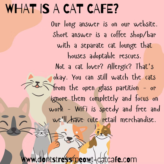 Oklahoma's first cat cafe is planning a May 8th opening at 1900 Linwood, just west of Dead People's Stuff.  Don't Stress Meowt will offer coffee and baked goods with a separate cat room where patrons can mingle with -  and hopefully adopt – kitties that need a home.