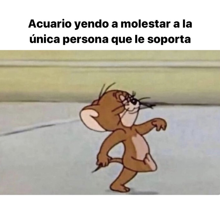 ▲ACUARIO▲ tweet media
