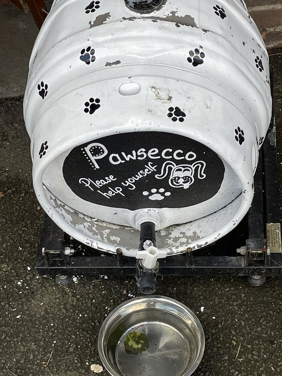 StoryHull's tweet photo. Understand now why there’s a queue of dogs at the Rose &amp; Crown in Beverley @BeverleyCrown https://t.co/G1WWmO61pq