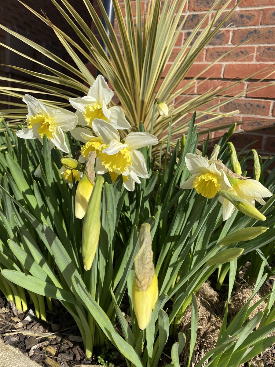 Spring has sprung 🥰🐝🐞🐜🦋🌹🌷🌻