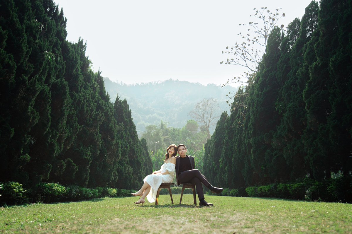 nsnromeo's tweet photo. ใครไปเชียงใหม่หาที่ถ่ายรูปธรรมชาติสวยๆ เราแนะนำให้ลองแวะไป cypress lanes น้า🌲✨ อยู่ตรงหางดง ต้องขับรถขึ้นไป เป็นแนวทิวสนยาวเส้นนึง สวยมาก มีค่าเข้า 20.- ต่อคน มีร้านกาแฟ slow bar เล็กๆอยู่ แนะนำให้ไปช่วงบ่ายแก่หน่อย สัก 3 โมงไป แสงจะได้ไม่แข็ง #รีวิวเชียงใหม่ https://t.co/FsprLzNYWk