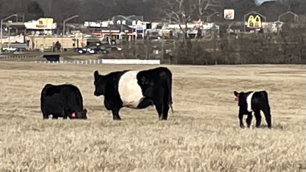 Todd A Winters tweet media