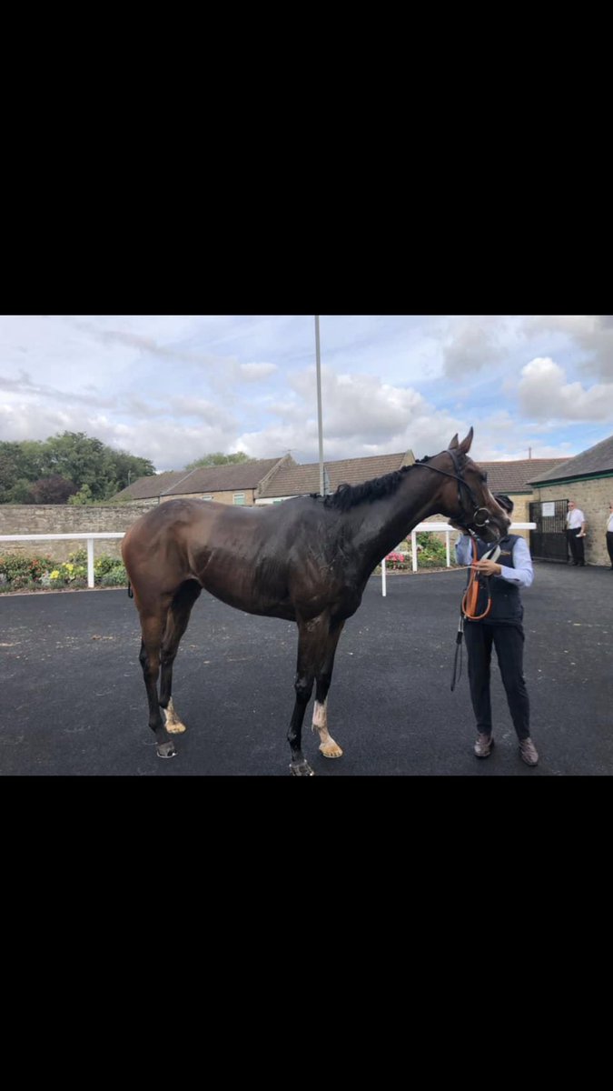 phoward1983's tweet photo. Selling a few percent in this boy
Straittouttacompton 5 time winner 
Message me if interested https://t.co/Gm7GGwl7ZH
