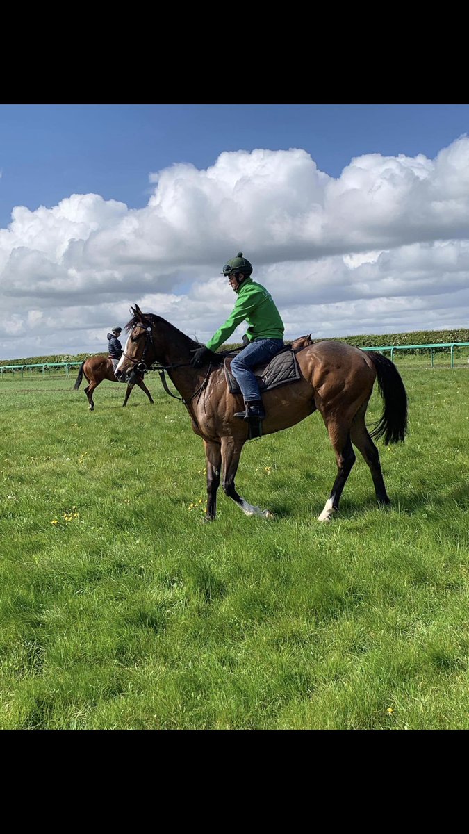 phoward1983's tweet photo. Selling a few percent in this boy
Straittouttacompton 5 time winner 
Message me if interested https://t.co/Gm7GGwl7ZH