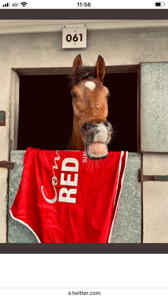 RoEllis4's tweet photo. https://t.co/1X4xZp3VFh @thorough_bid @rpbloodstock https://t.co/Bqp5epl5xL