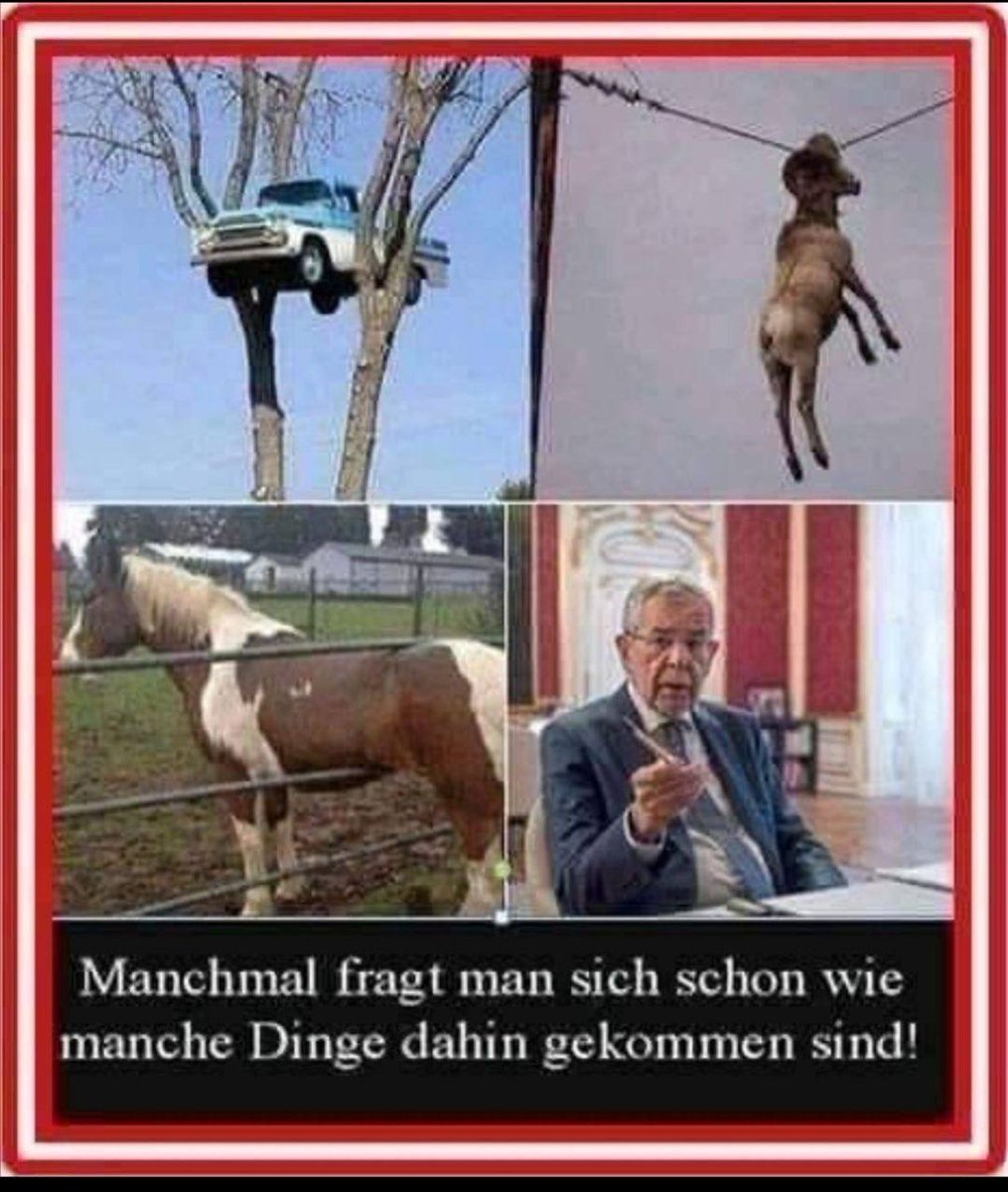 Dr. phil. Jason King (@dr_jason_king) on Twitter photo 