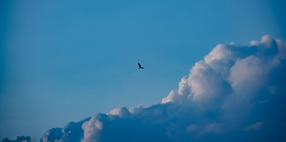 𝓴𝓸𝓰𝓪𝔂𝓪. tweet media