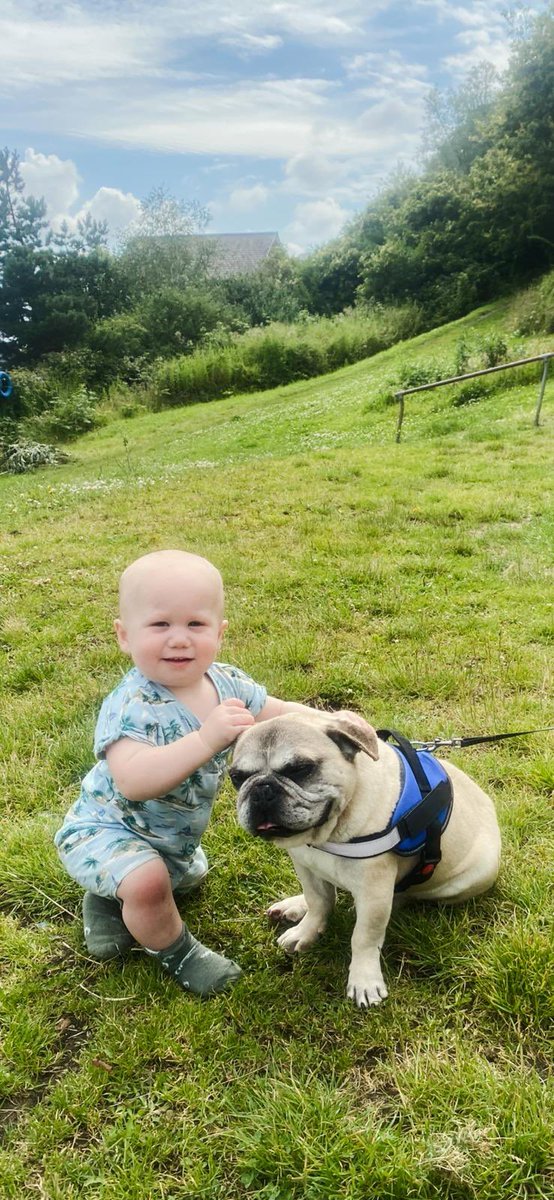 phoward1983's tweet photo. One of the hardest weeks ever.our boy Jackson made his way up to the rainbow bridge🌈🐾🐶 we had an amazing 12 years with him. He’s going to be missed so much 😢 https://t.co/CjLSwyCfbD