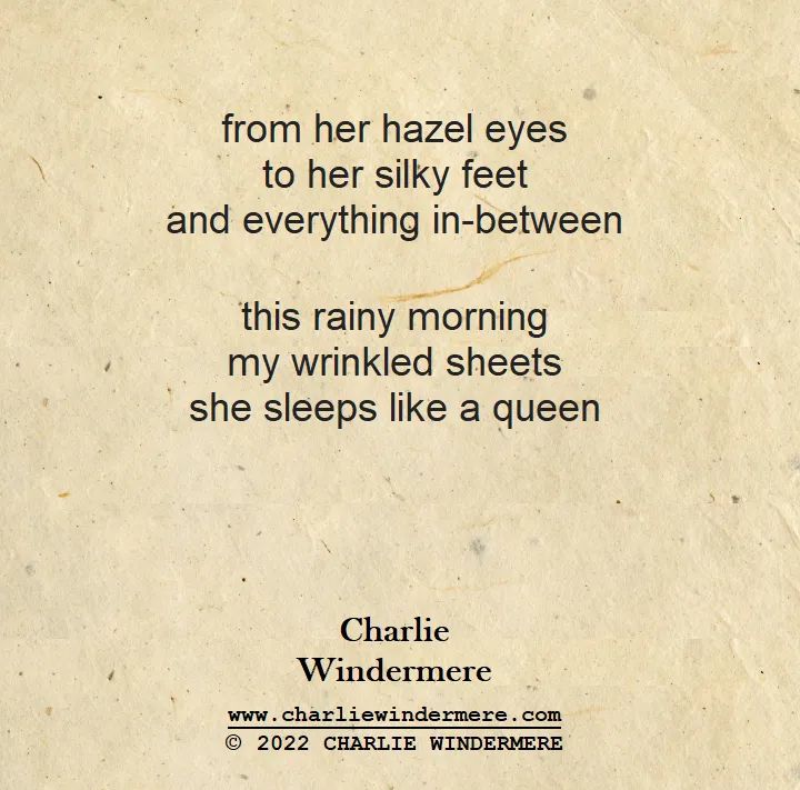Charliewmere's tweet photo. #charliewindermere #writer #poet #poems #songs #lyrics #songwriter #lyricist #romance #sensuality #love #morning #sheisbeautiful #london #la #newyork #toronto #dublin #mumbai #calcutta #bemine #gorgeous #saturdaynight #mydarling #goodmorning #feminine #attraction #poetrybook https://t.co/q99sPjJAhY