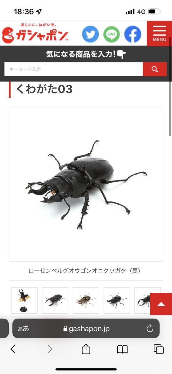 くわがた03のtwitterイラスト検索結果