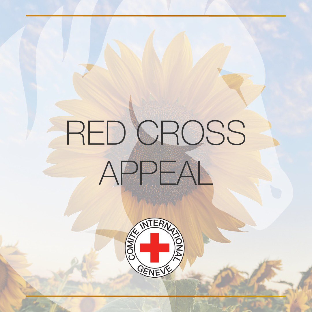 Roaaary's tweet photo. 🇺🇦 Fundraising for humanitarian aid for the people of Ukraine 🇺🇦

Please donate if you’re able to! 💙💛
https://t.co/H8xiKgo5Kv

#RedCross @BritishRedCross @CavalryCare #Ukraine https://t.co/zNUFUUcgay