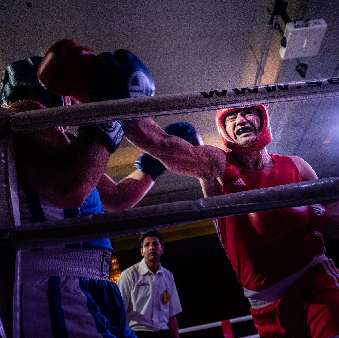 Ran_Photography's tweet photo. By now, you should know that I take wildlife and bird #Photos . But my bread and butter is #martialarts . A lot in common between the two : often bad lighting; fast moving; challenge in focusing. Here is an example for my martial arts #photography https://t.co/U1oSzdvXYI
